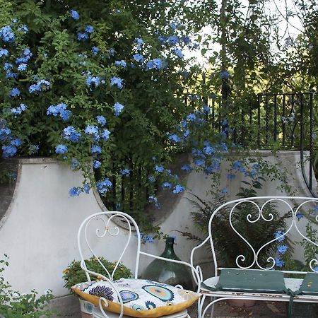 Roccarainola Il Giardino Del Sole B&B 외부 사진