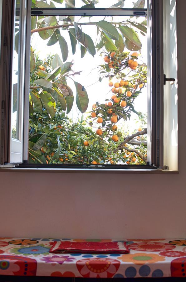 Roccarainola Il Giardino Del Sole B&B 외부 사진